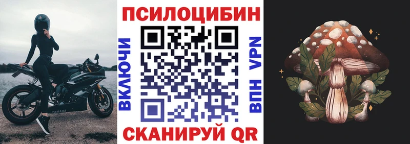 Псилоцибиновые грибы Magic Shrooms  площадка клад  мега ССЫЛКА  Тулун  купить  
